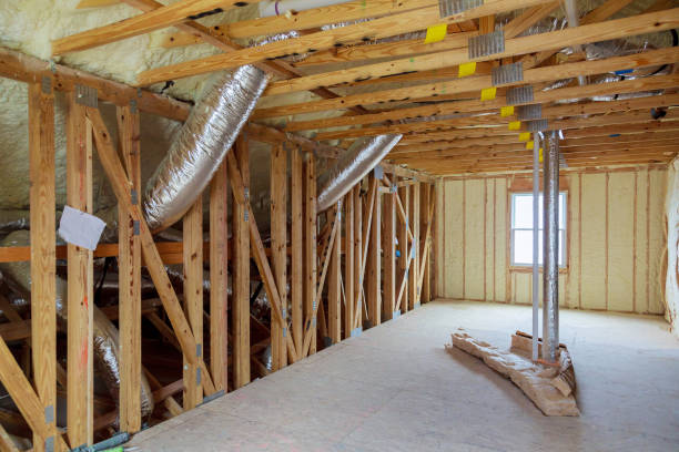 Best Professional Insulation Contractor  in Red Lick, TX