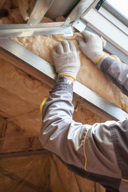 Best Insulation Repair Services  in Red Lick, TX