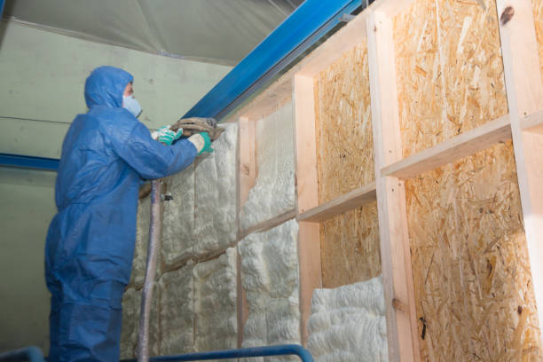 Best Blown-in Insulation  in Red Lick, TX