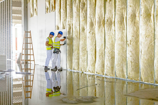 Best Fiberglass Insulation  in Red Lick, TX